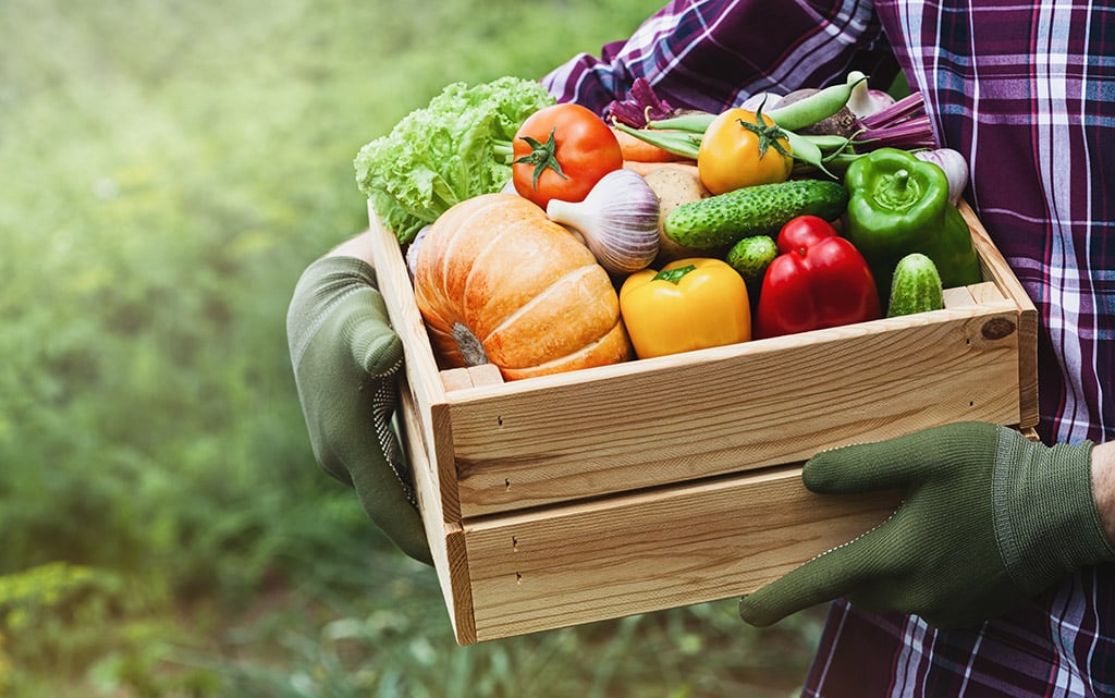 5 tips om de lente goed in te gaan 1 fruit en groenten
