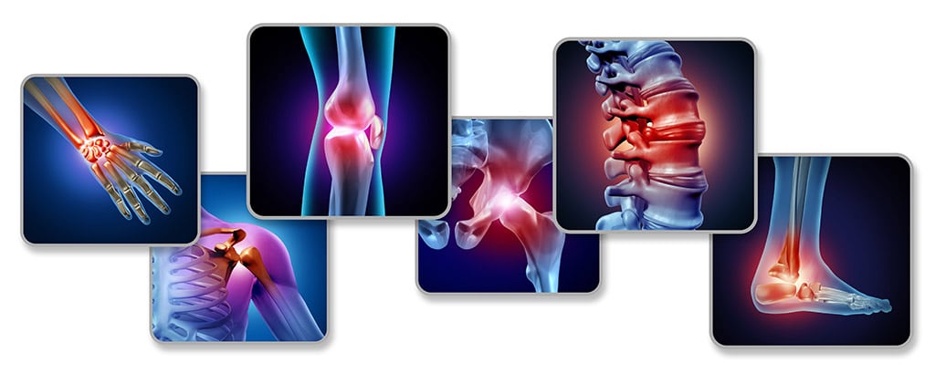 Opleiding chiropractie 2 Opleiding Chiropractie - Jasperse Praktijkencentrum