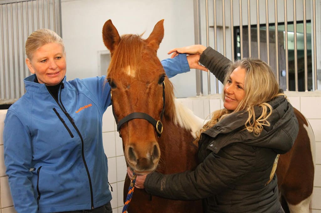 Helaas, we zijn gestopt met paarden behandelen! 3 mensenpaard 11