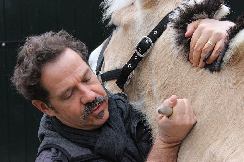 Helaas, we zijn gestopt met paarden behandelen! 1 mensenpaard 6