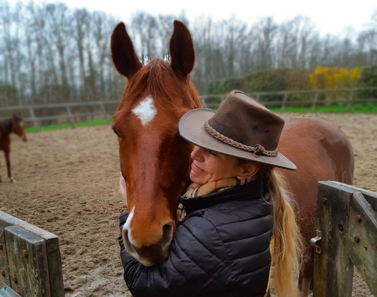 Helaas, we zijn gestopt met paarden behandelen! 2 mensenpaard