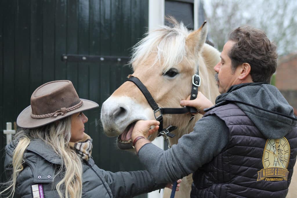Helaas, we zijn gestopt met paarden behandelen! 3 mensport 4 small