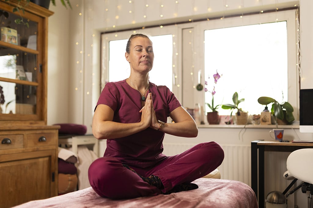 De Ayurvedische kunst van evenwicht 5 het geheim van lichaam en geest