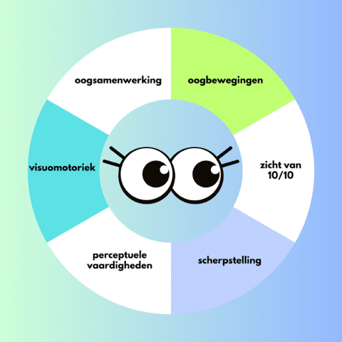 Hoe goede visuele vaardigheden het verschil maken bij leren en lezen 1 Visuele vaardigheden